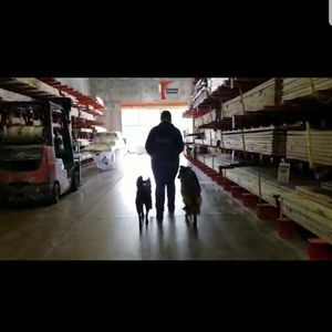 Meet your Posher, Athena